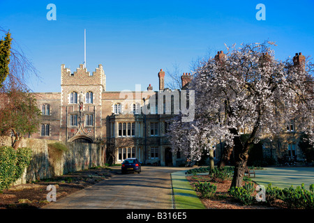 Spring Cherry Tree Jesus College University of Cambridge City Cambridgeshire England Großbritannien Großbritannien Stockfoto