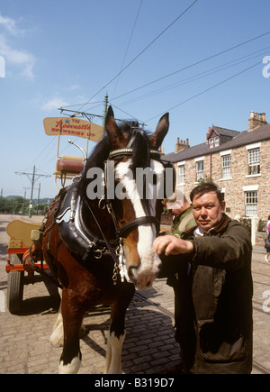 UK England County Durham Beamish Open Air Museum Brauerei Dray und Shire-Pferde Stockfoto