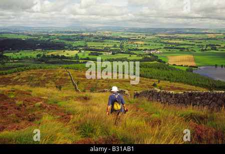 Zu Fuß entlang der Seite des Knockendock Blick über die Landschaft Dumfriesshire Sweetheart Abbey Schottland Walker Hill Stockfoto