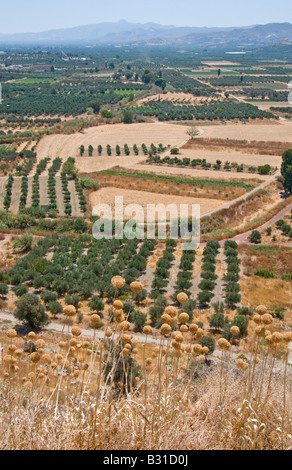 Phaestos, Kreta, Griechenland. Blick auf die Landschaft von Phaestos minoische Ausgrabungsstätte; Ende Juli Stockfoto