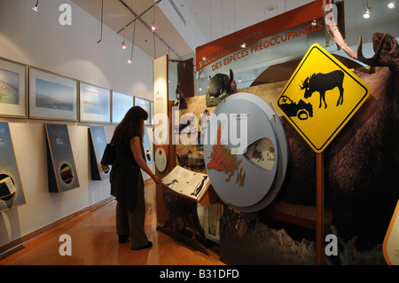 Das Discovery Center in Woody Point, Neufundland präsentiert interaktive Exponate über Gros Morne National Park. Stockfoto