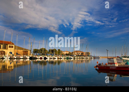 Fischerei-Hafen, Meze, Languedoc-Roussillon, Frankreich Stockfoto