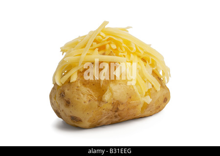 Ofenkartoffel mit Cheddar-Käse Stockfoto