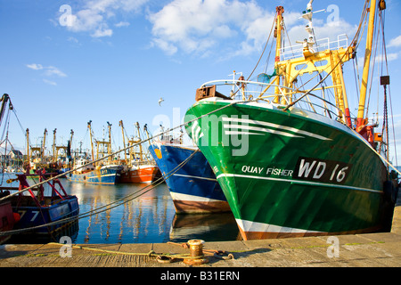 Trawler im Hafen Stockfoto