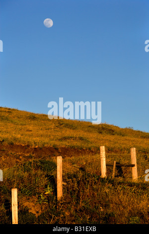 Ein Vollmond steigt in der Nähe der Big Sur Küste über die sanften Hügel Santa Lucia Stockfoto