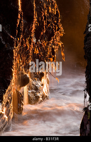 Späten leuchtet Nachmittag das Innere eines Bogens an Pfeiffer Beach Big Sur California Stockfoto