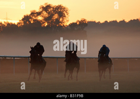 Reiter auf Pferden im Morgenlicht, Iffezheim, Deutschland Stockfoto