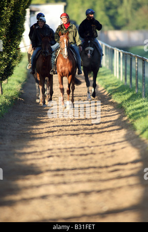 Reiter auf ihren Pferden im Morgenlicht, Iffezheim, Deutschland Stockfoto