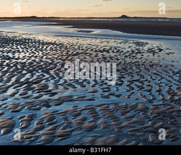 Wellen in den Sand am Strand von Ross Sands auf Lindisfarne Castle an der Northumbrian Küste, Northumberland, England Stockfoto