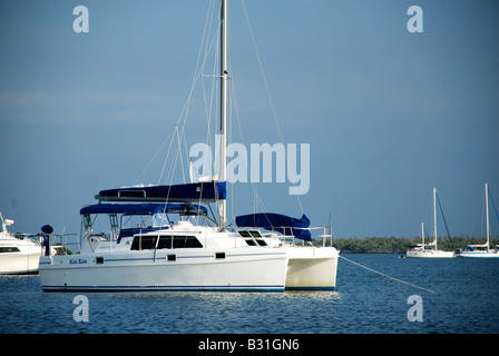 Ein Katamaran sitzt vor Anker im Pelican Bay Florida USA Stockfoto