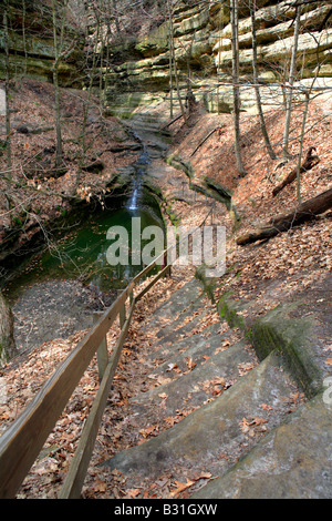 WANDERWEG UND EINEM MOOSIGEN BÜNDELN IN DER FRANZÖSISCH-CANYON IM AUSGEHUNGERTEN ROCK STATE PARK LA SALLE COUNTY ILLINOIS UNS Stockfoto