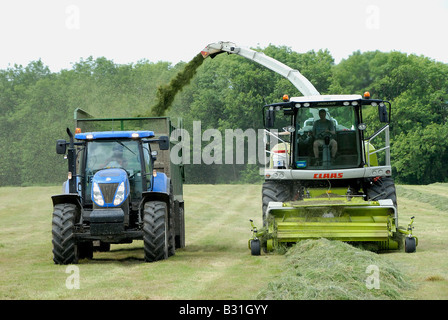 Silage schneiden und ernten Weideland für Rinder Winter Futter ernähren sich von Parkhurst Farm in West Sussex Stockfoto