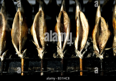 Fisch am Spieß, traditionelle deutsche Küche Stockfoto