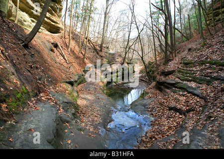 WANDERWEG IM FRANZÖSISCHEN CANYON IN AUSGEHUNGERT ROCK STATE PARK LA SALLE COUNTY ILLINOIS USA IM ZEITIGEN FRÜHJAHR Stockfoto