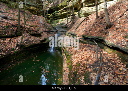 WANDERWEG UND DIE GRÜNALGEN-POOL IN DER FRANZÖSISCH-SCHLUCHT IN AUSGEHUNGERT ROCK STATE PARK LA SALLE COUNTY, ILLINOIS, USA Stockfoto