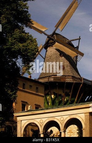 Windmühle im Park Sanssouci, Unesco-Welterbe, Potsdam, Deutschland, Europa Stockfoto