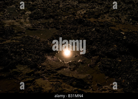 Sonnenlicht reflektiert in Gezeitentümpel Stockfoto