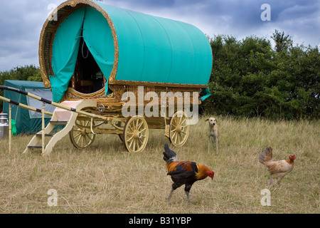 Freilaufende Hühner in einem traditionellen Romany Camp Salthouse Norfolk August Stockfoto