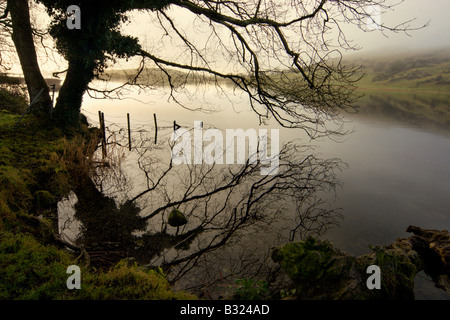 Lough Gur, Co. Limerick, Irland Stockfoto