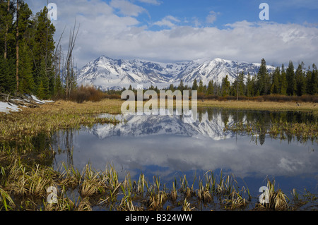 Morgen Reflexion in den Rocky Mountains Stockfoto