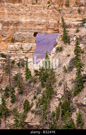 Fenster "Engels" Grand-Canyon-Nationalpark Stockfoto