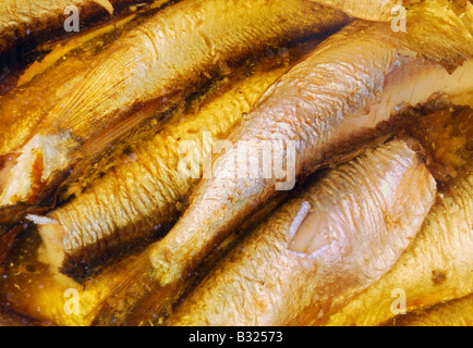 Sprotte Fische sind in Butter Snack auf volle Hintergrund Stockfoto