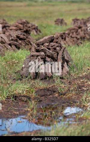 Torf turf Kraftstoff bereits Schnitt aufgestapelt in Stapel Lufttrocknung auf nassen Moor im County Sligo Republik von Irland Stockfoto