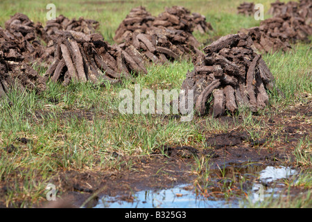 Torf turf Kraftstoff bereits Schnitt aufgestapelt in Stapel Lufttrocknung auf nassen Moor im County Sligo Republik von Irland Stockfoto