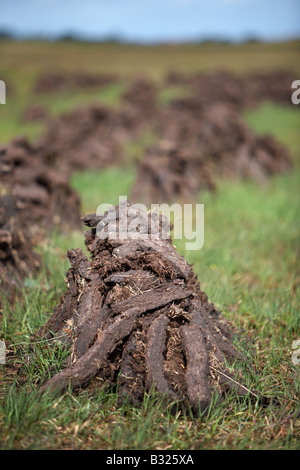 Torf turf Kraftstoff bereits Schnitt aufgestapelt in Stapel Lufttrocknung auf nassen Moor im County Sligo Republik von Irland Stockfoto