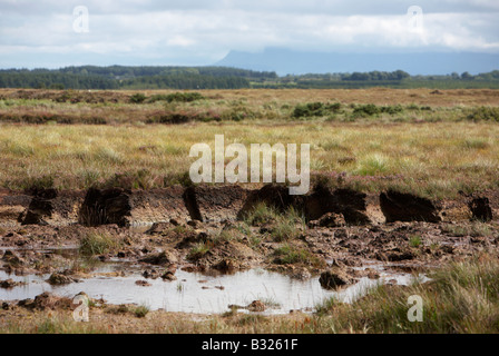 Decke Moor mit Nähten in es für Turf-Torf-Kraftstoff-Sammlung in Easkey Grafschaft Sligo Irland geschnitten Stockfoto