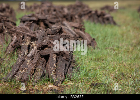 Torf turf Kraftstoff bereits Schnitt aufgestapelt in Stapel Lufttrocknung auf nassen Moor im County Sligo Republik von Irland Stockfoto