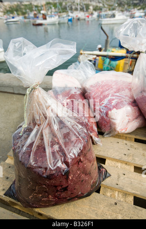 Robbenfleisch in einer Tasche am Kai bei Ilulissat in Grönland das Siegel ein Inuit-Jäger erschossen wurde Stockfoto
