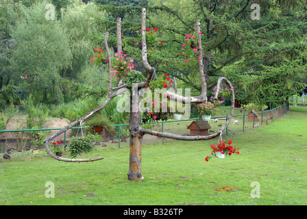 einige schöne Blumen auf einem alten Baum Stockfoto