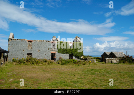 Efeu bedeckt Bauernhaus auf der Insel Skomer, Pembrokeshire, Wales Stockfoto