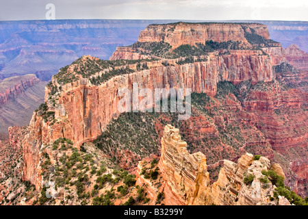 Wotans Thron, Grand Canyon North Rim Stockfoto