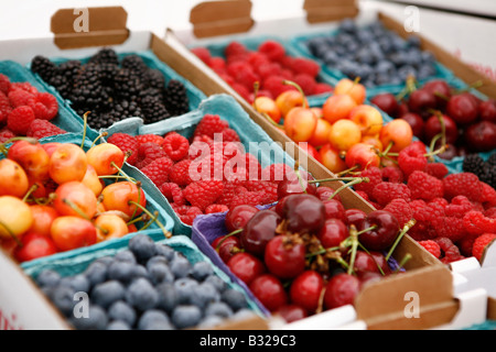 Kiste von Beeren und Kirschen auf dem Display am Markt Stockfoto