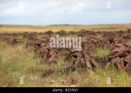 Torf turf Kraftstoff bereits Schnitt aufgestapelt in Stapel Lufttrocknung auf nassen Moor im County Sligo Republik von Irland Stockfoto