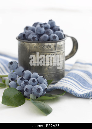 Frische Heidelbeeren in Blechtasse Stockfoto