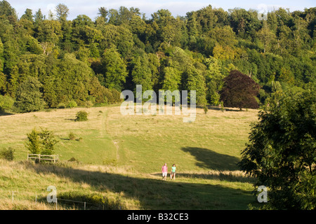 Tring Park - Hertfordshire Stockfoto