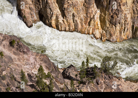 Wildwasser auf dem YELLOWSTONE RIVER in der GRAND CANYON von YELLOWSTONE unterhalb der Wasserfälle YELLOWSTONE Nationalpark WYOMING Stockfoto