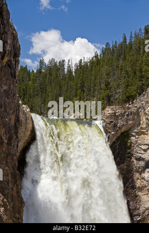 Oberen Rand der mächtigen LOWER YELLOWSTONE FALLS YELLOWSTONE NATIONAL PARK-WYOMING Stockfoto