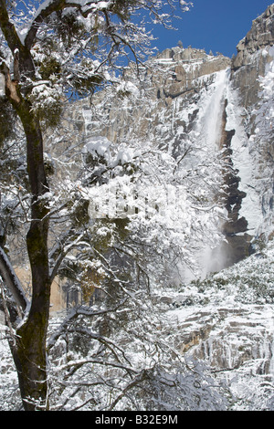 Upper Yosemite Falls Kaskaden in ein Wintermärchen, nachdem ein Übernachtung Schneesturm 16 Zoll Schnee im Yosemite hinterlegt Stockfoto