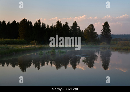 Eine Ranch Teich am frühen Morgen Nebel WEST YELLOWSTONE, MONTANA Stockfoto