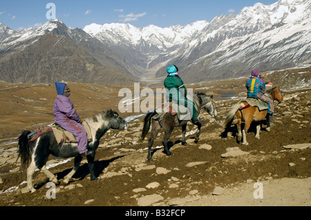 Pferd-Trekker auf Rohtang-La in Himachal Pradesh, Nordindien Stockfoto