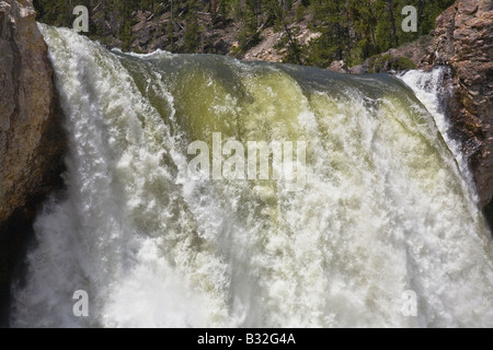 Oberen Rand der mächtigen LOWER YELLOWSTONE FALLS YELLOWSTONE NATIONAL PARK-WYOMING Stockfoto