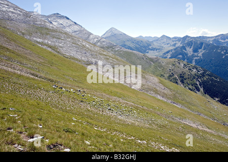 Bergkette der Gipfel Suchodol Koncheto Kutelo Vihren in World Heritage Site Nationalpark Pirin Bulgarien Stockfoto