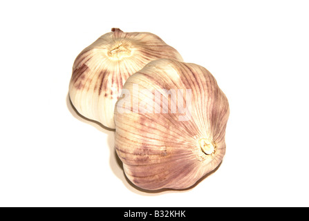 Zwei Knoblauch Zwiebeln Stockfoto