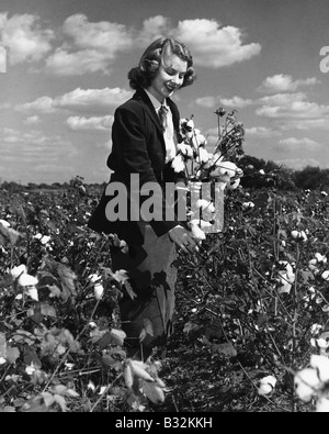 Frau Kommissionierung Wildblumen im Feld Stockfoto