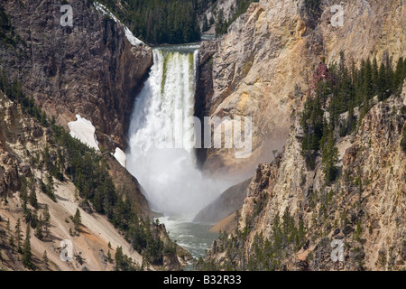 LOWER YELLOWSTONE FALLS fällt in den GRAND CANYON OF THE YELLOWSTONE YELLOWSTONE NATIONAL PARK WYOMING Stockfoto