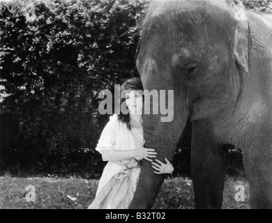 Junge Frau umarmt den Stamm eines Elefanten Stockfoto